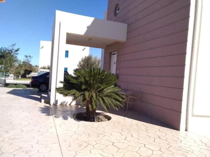 Evi's Sea View